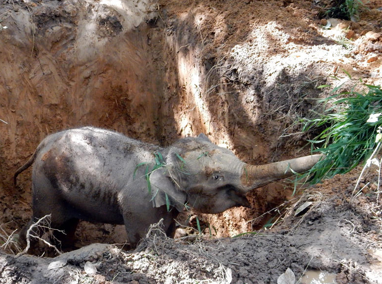 ����С�������б��񾯾ȳ���