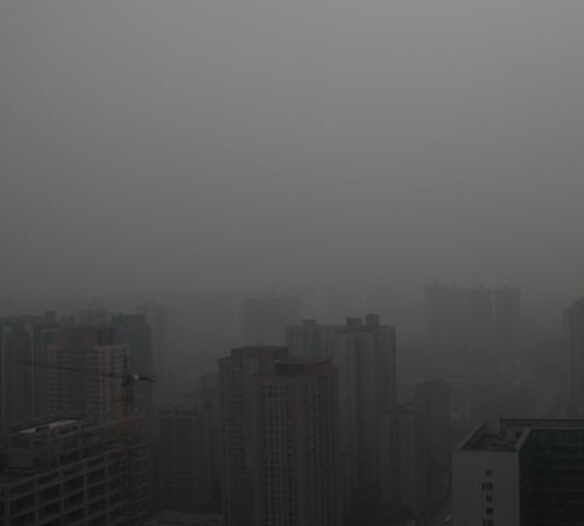 �����������������족