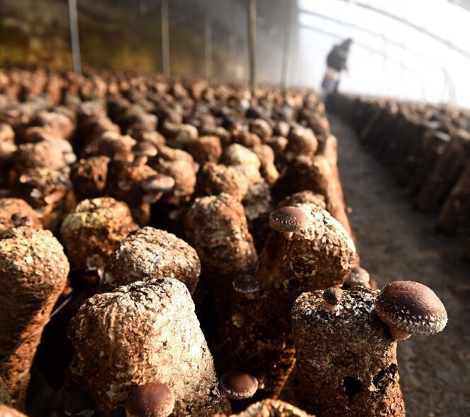 �����С�ʱ������æ��