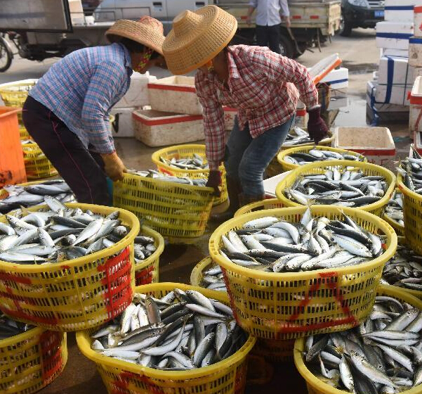 ���������������