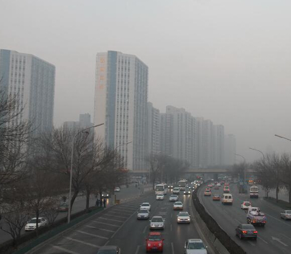 ������������������