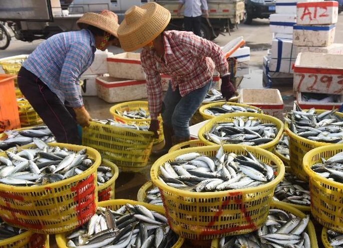 ���������������