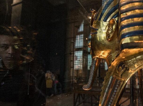 �������ﲿ��Ӧ��ͼ̹���ɻƽ�������𡱡�