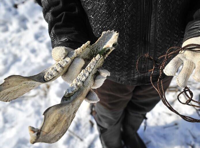 �������ж�������Ұ����������