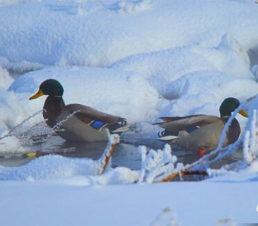 Ұ����ͷѼ���½����ͺ�ʪ�ء�