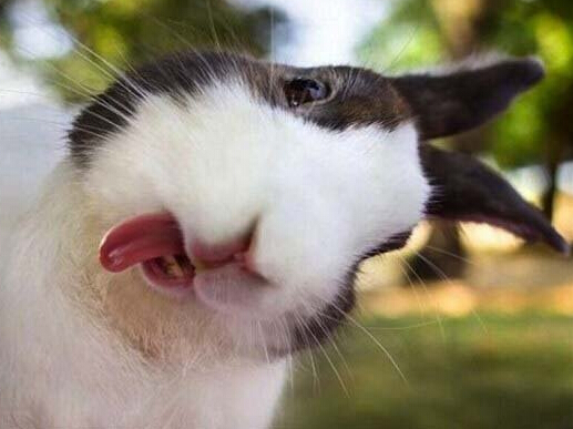 ����Ц�������ġ�