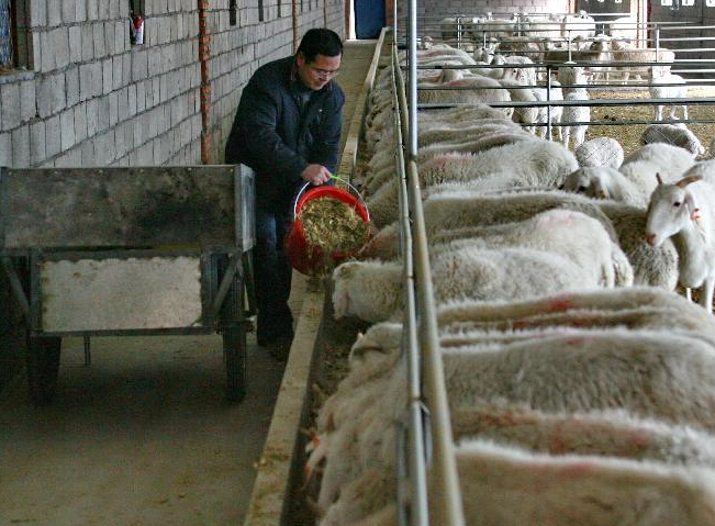 ��ƶ�����ũ���ա�