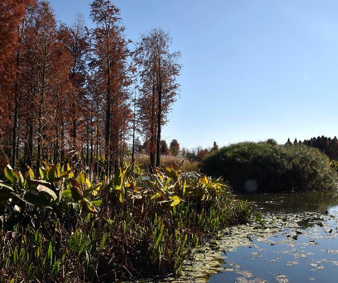 ������ػ���ʪ�ض���������Ȼ��