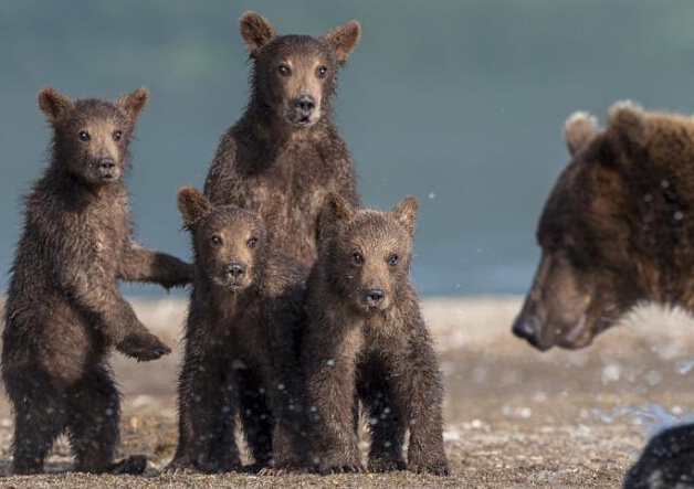 �ܱ���Χ�۰ְֲ��� ����վ���о������ա�