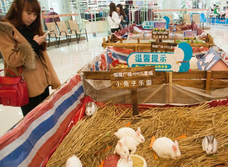 广西多家商场在大厅圈养动物招揽顾客”