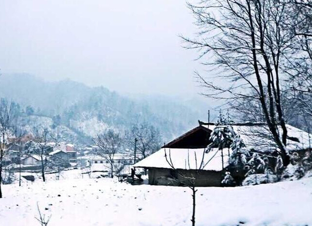 江苏南京持续降雪 城市披银妆”