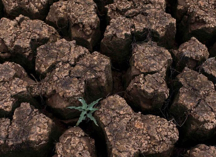 ��������85���������غ��� ���س�Ƭ�ѿ���