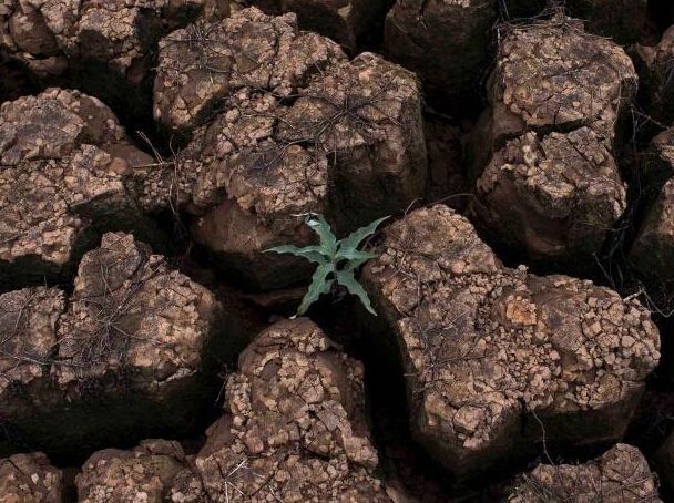 ��������85���������غ��� ���س�Ƭ�ѿ���