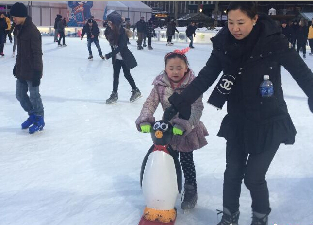 ����ѩ��ŦԼ��԰���¿��� ���񻬱����ɡ�