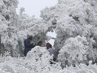 �������� ������⡱