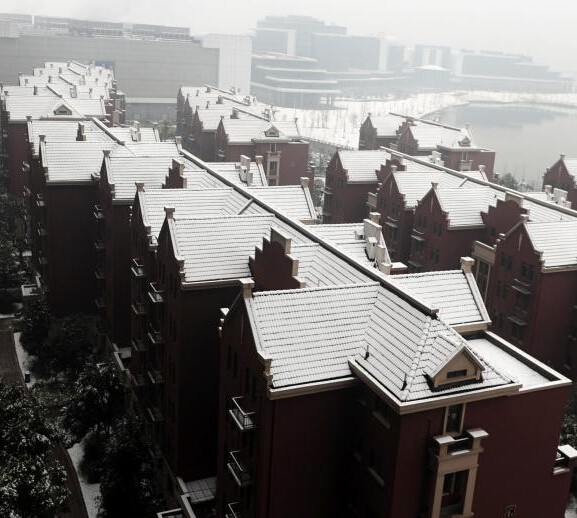 �����人�ٴ�ӭ����ѩ��