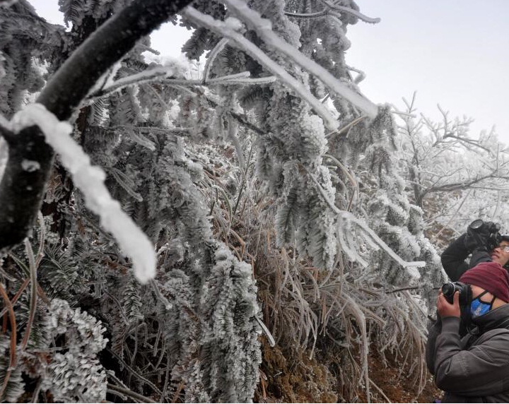 �𱱸ߺ�ɽ�������ѩ ��ľ�ԡ�������