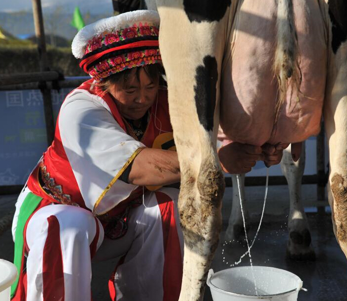 ���ϴ������塰�𻨡�������ţ�̡�