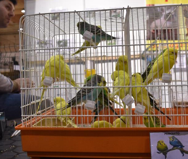 ���������Ľ����չ�����Ļ��