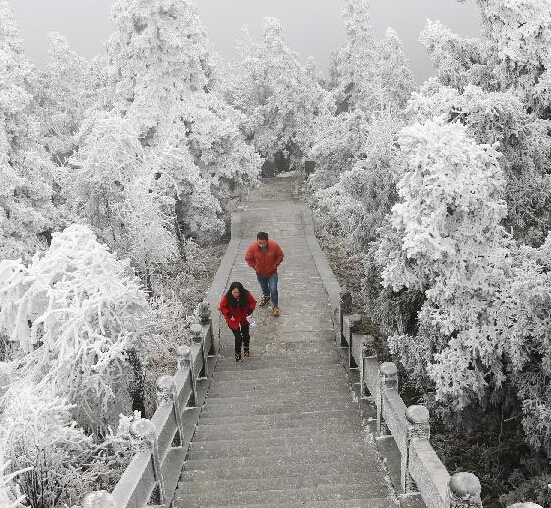 �������� ������⡱