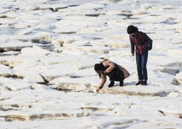 ���������֡����ر�ԭ��׳����ɫ��