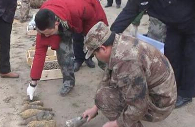 江苏盐城警方集中销毁近十万发废旧枪炮弹”