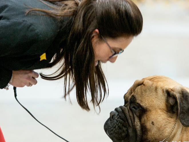 ��Ȯ���˰���