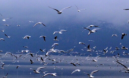 �������Ǻ���Ÿ��Լ������ʮ�꣺���㲻���Լ����