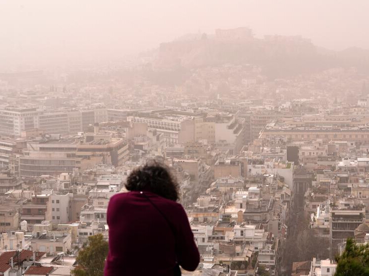 ϣ�������籩���� ɳ�����ڱ��ŵ�ǡ�