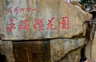 �й�����ƽ(2015)���Ľ�ӣ���Ļ����ν�������