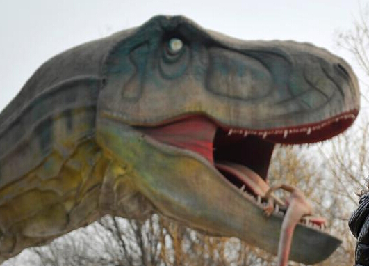 ����ֻ������������ɽ�� �������顰٪�޼͹�԰����