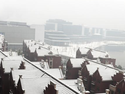 �����人�ٴ�ӭ����ѩ��