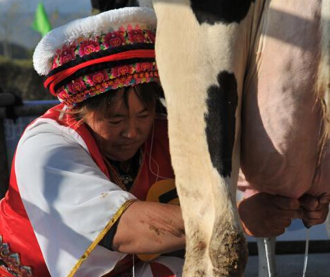 ���ϴ������塰�𻨡�������ţ�̡�