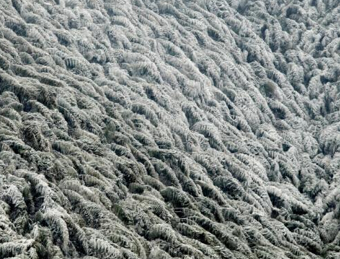 ��������ɽӭ2015���׳���ѩ ��ڡ��ѩ���续��