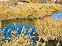 ��Ҵʪ�أ�ά��������̬��ȫ����Ȼ���ϡ�