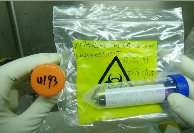 �밣������������桱