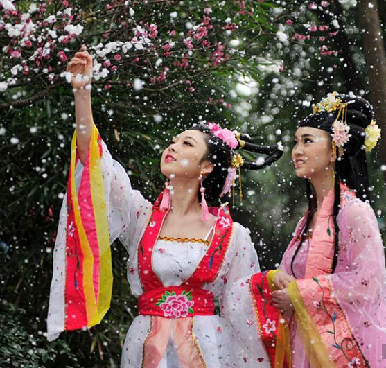 �ɶ��Ÿ�����÷������ �����Ź�װ��÷����