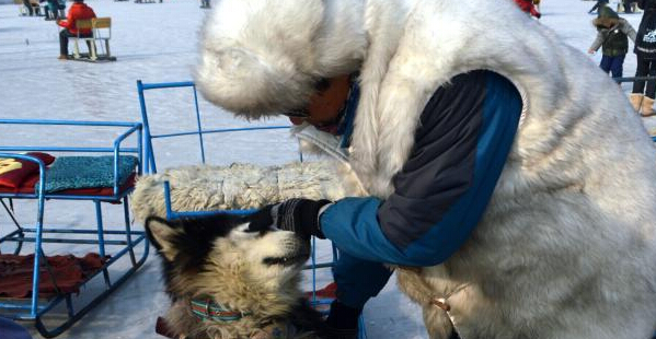 ��������ѩ������Ӧ������ѩ�����¹��������š�