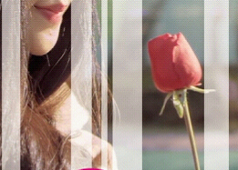 �¼�������˽�΢��Ӱ����¹��û������(ͼ)��