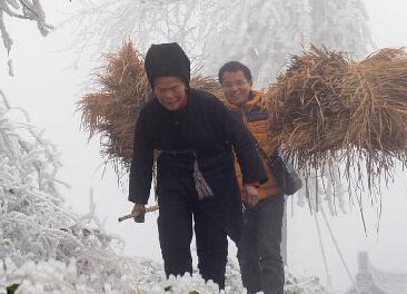 ������Ϯ ��Σ��������ɽ��