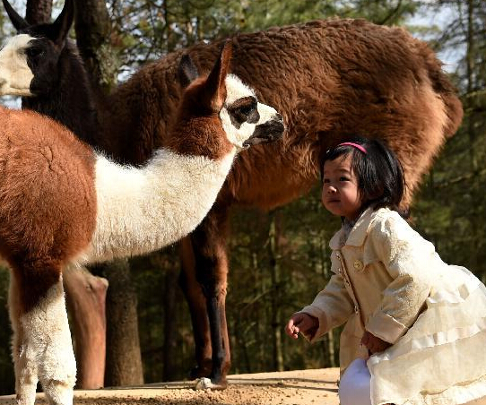 ����ӭ�´���