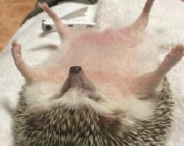 С������ܻ�����Ƭ�ߺ����硱