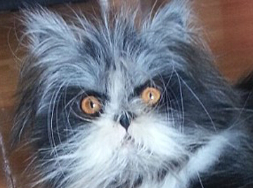 ���ô�è��ë����������Ϭ�� ����㤡������ߺ족