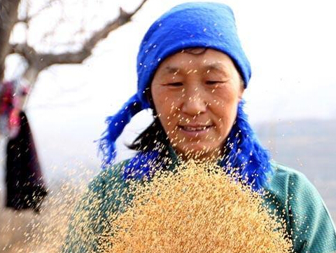 ��������ӭ�´����ִ�ͳ���׹��ա�