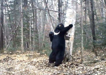 ���ܲ����㡰���衱 ��Ƶ������Χ�ۡ�