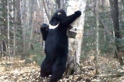 ���ܲ����㡰���衱 ��Ƶ������Χ�ۡ�