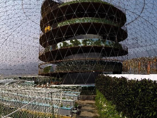 �㽭�����߿��߲ˡ������Ч��