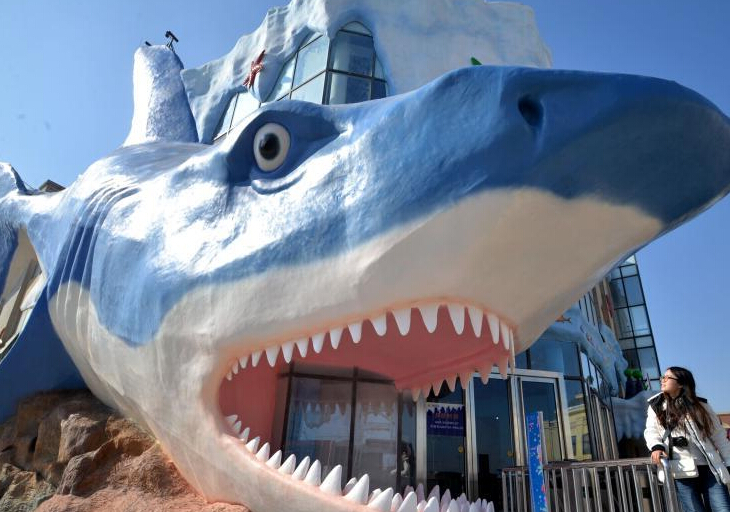 ���������������ӱ�������Χ�ۡ�