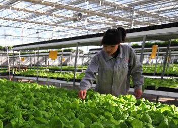 ��ʩũҵ�̾�ũ���¸�·��