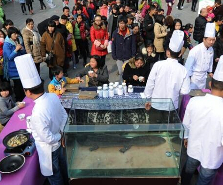 �żҽ硰����������ˮ�����������ԡ������㡱��